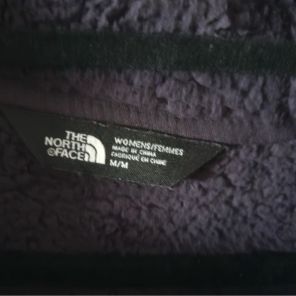The North Face Campshire Hoody - Picture 2 of 3
